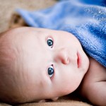 Max  { baby + family session }