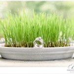 Holly + Alex  { Married! }