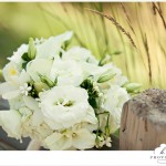 { Megan and Mark  ::  Married! }