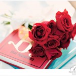 { Danielle and Brian  ::  a vintage engagement session }