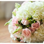 { Lindsey and Zach  ::  Married! }