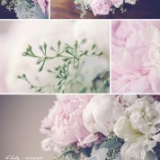 bridal bouquet birthday pink white chilean peony ice cream flowers