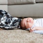 Scarlett  ::  Newborn