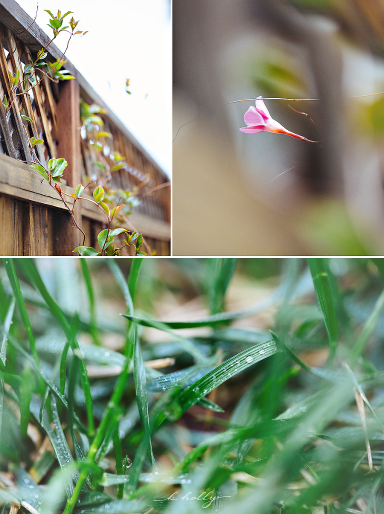 california-spring-rain1