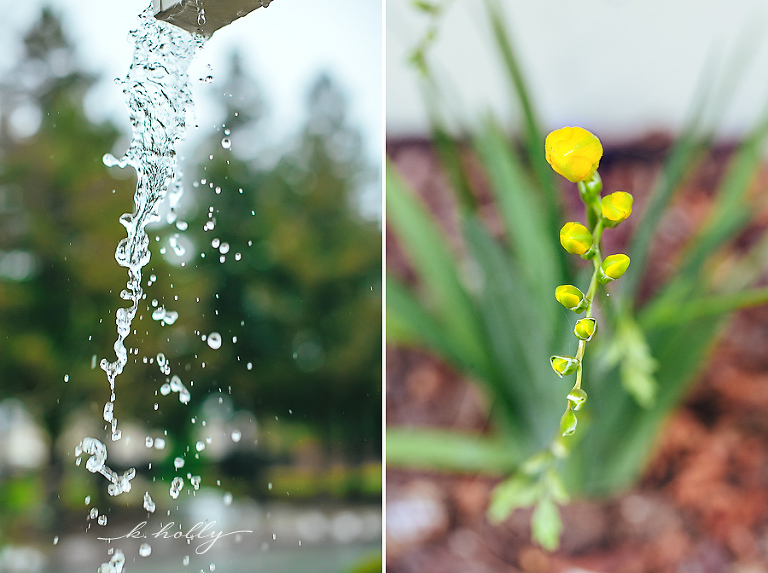 california-spring-rain3